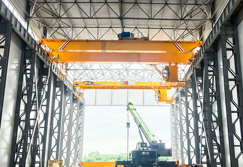 eot crane capacity